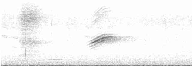 Kızıl Böğürlü Tovi (erythrophthalmus/canaster) - ML619363819
