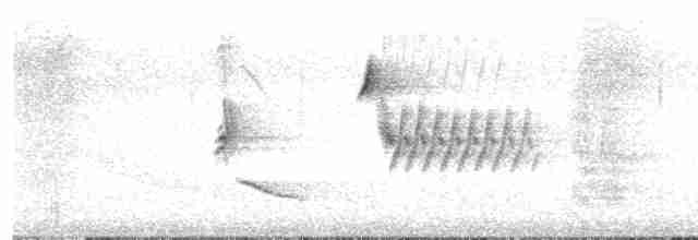 Kızıl Böğürlü Tovi (erythrophthalmus/canaster) - ML619363823