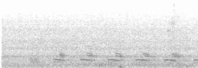 Trogon élégant (groupe ambiguus) - ML619363865