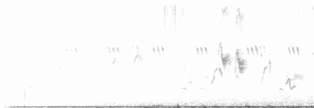 drozdec černohlavý - ML619363921