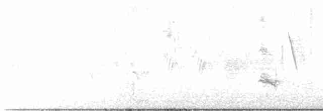 Пересмішник сірий - ML619364171