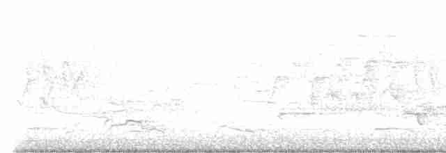 Oriole des vergers - ML619364922