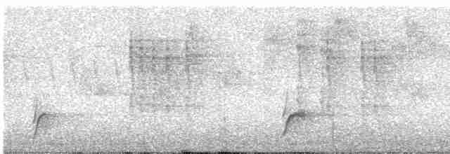 Дрізд-короткодзьоб Cвенсона - ML619366187
