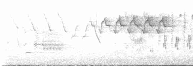 Troglodyte des marais - ML619366329