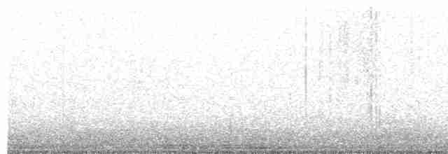 Common Yellowthroat - ML619366354