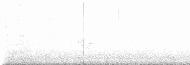 Каролинский крапивник - ML619366531