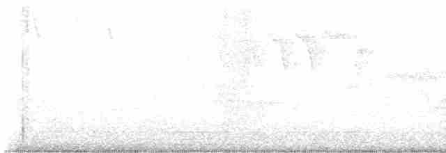 Каролинский крапивник - ML619366557