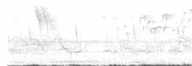 Зернолуск золотодзьобий - ML619366674