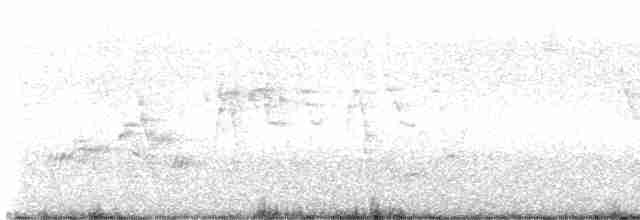 Дрізд-короткодзьоб Cвенсона - ML619367529