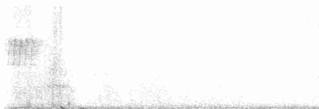 Kara Gözlü Junko [oreganus grubu] - ML619367904