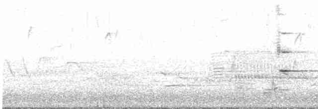 vlhovec červenokřídlý - ML619368460