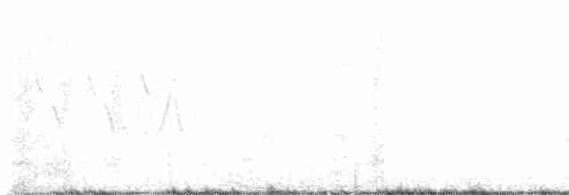 svarthakespurv - ML619368574