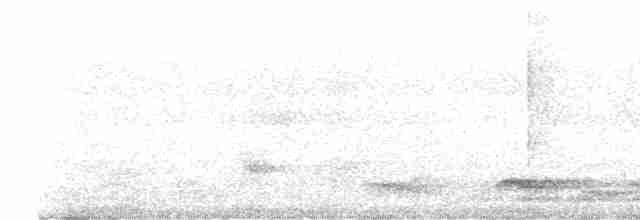 Желтоклювый саблеклюв - ML619368768