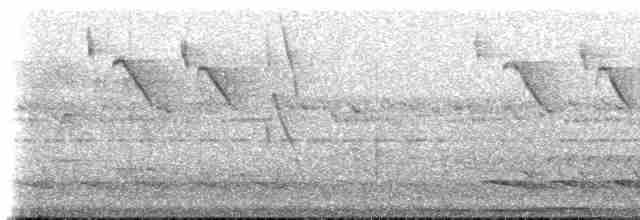 Conirostre cul-roux - ML619368772