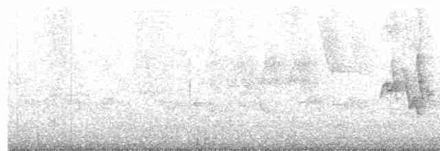 Малая вильсония - ML619368825