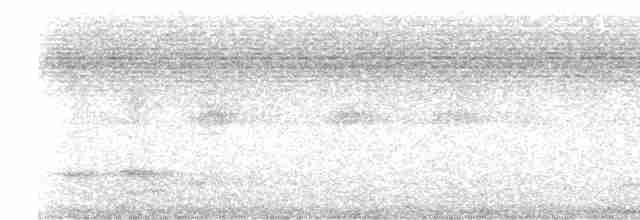 Зозуля білогорла - ML619369205