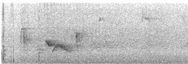 White-eyed Vireo - ML619369623