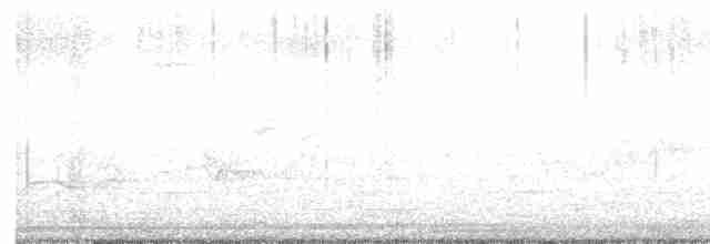 Kulaklı Karabatak - ML619369702