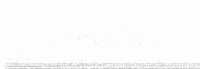 Карнатка бліда - ML619369740