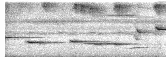 Bülbül Sesli Çıtkuşu - ML619369788