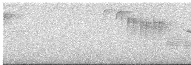 Синеспинная древесница - ML619370014