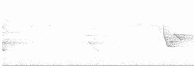 Шилоклювый дятел (auratus/luteus) - ML619370017