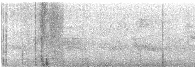 Kara Kanatlı Piranga - ML619370150