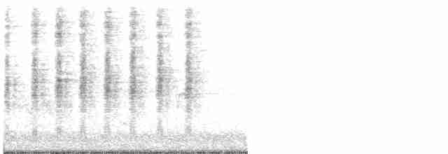 vlhovec červenokřídlý [skupina phoeniceus] - ML619370557