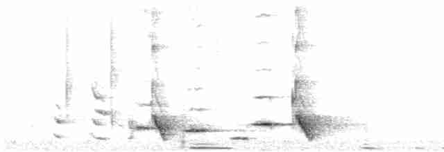Méliphage carillonneur - ML619371074