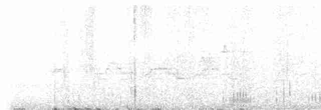 lesňáček modropláštíkový - ML619371086