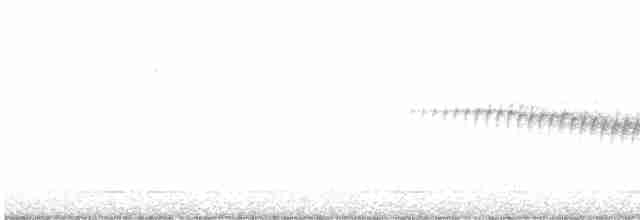 Pine Warbler - ML619371133