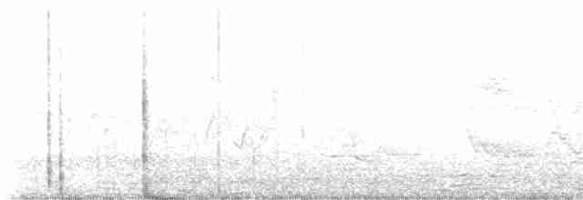 vlhovec červenokřídlý - ML619371214