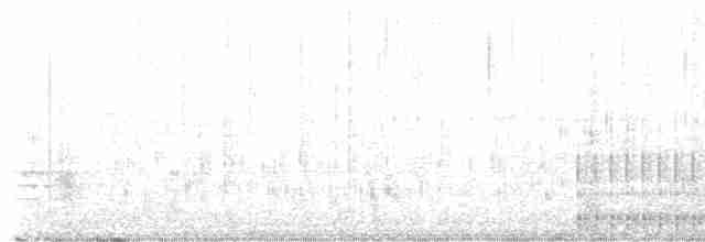 hvitbrynsvartspett - ML619371440