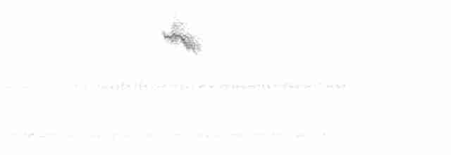 Кузнечиковая овсянка-барсучок - ML619371527