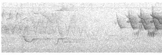 Черногорлая хвойница - ML619371914