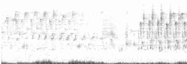 Troglodyte des marais - ML619371967