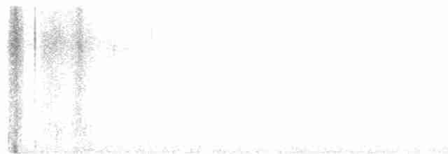 White-crested Elaenia - ML619372136