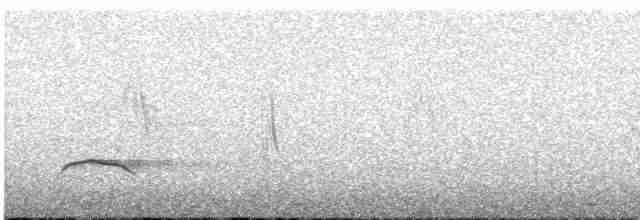 Çizgili Boğazlı Çalı Tiranı - ML619372402
