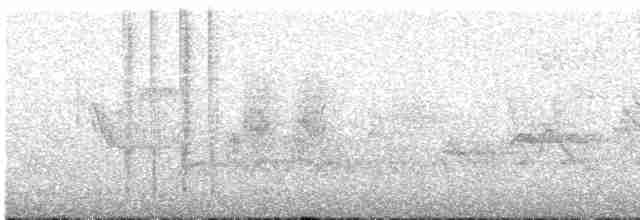 kolibřík dřišťálový - ML619372463