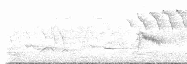 Дрізд-короткодзьоб малий - ML619372464