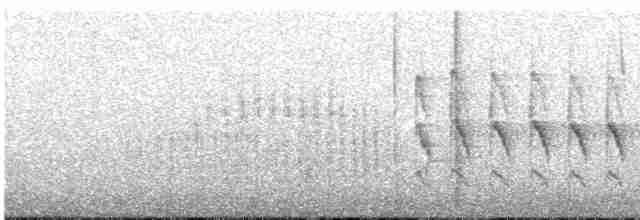 Kundinamarka Dikenkuyruğu - ML619372481