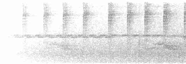 Черноухий колибри - ML619372661