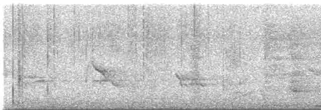 Evening Grosbeak (type 1) - ML619373535