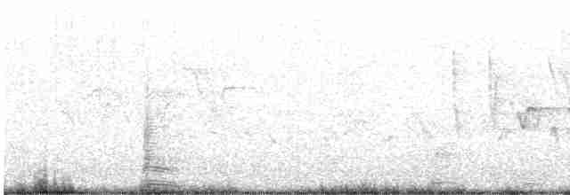 Canada Warbler - ML619373911
