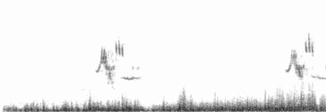 Tawny Pipit - ML619374463