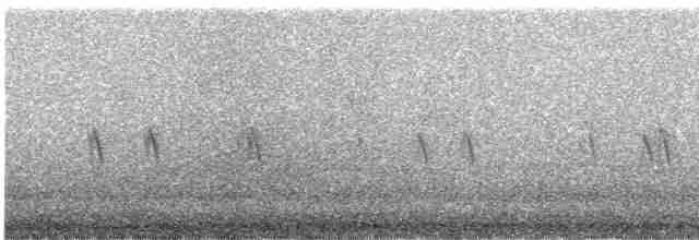 "Шишкар ялиновий (Western Hemlock, або тип 3)" - ML619374845