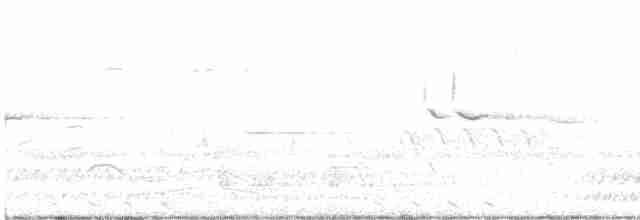 Black-billed Cuckoo - ML619374876