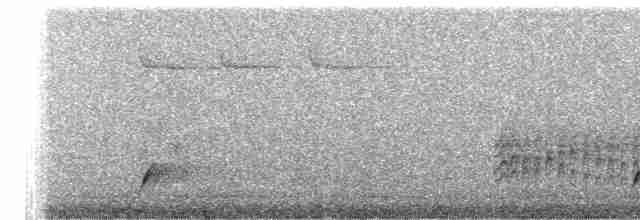 Bülbül Ardıcı [ustulatus grubu] - ML619375312