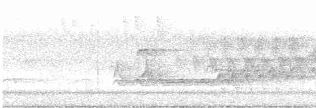 Cerulean Warbler - ML619375536