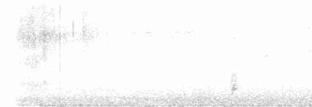 strnadec bělohrdlý - ML619377991